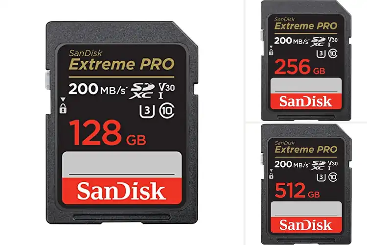 Detailed view of Best 4K SD Cards
