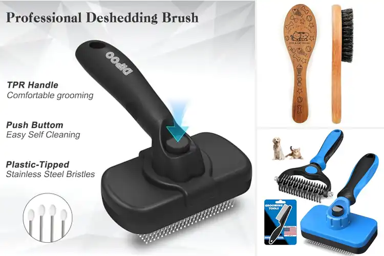 Detailed view of Best Brush For Cats And Dogs