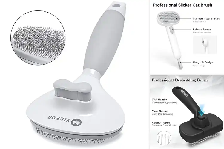 Detailed view of Best Cat Brush For Short Haired Cats