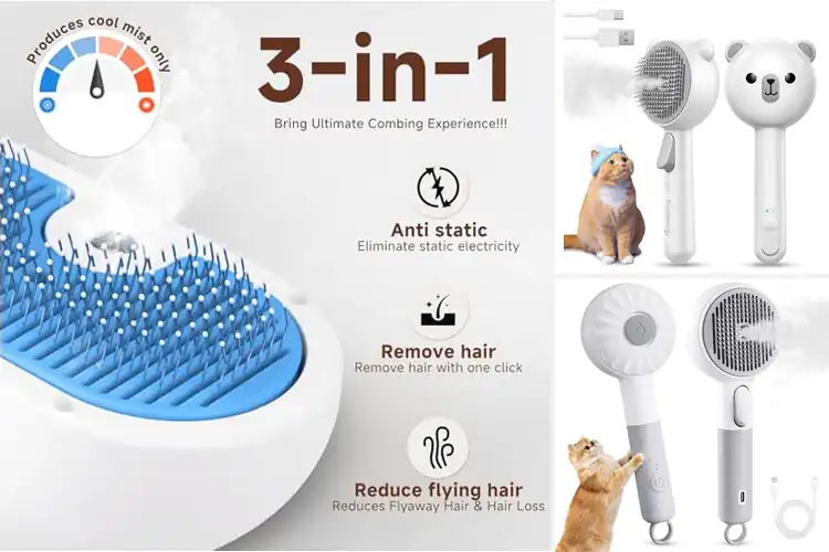 Detailed view of Best Cat Deshedding With Steam