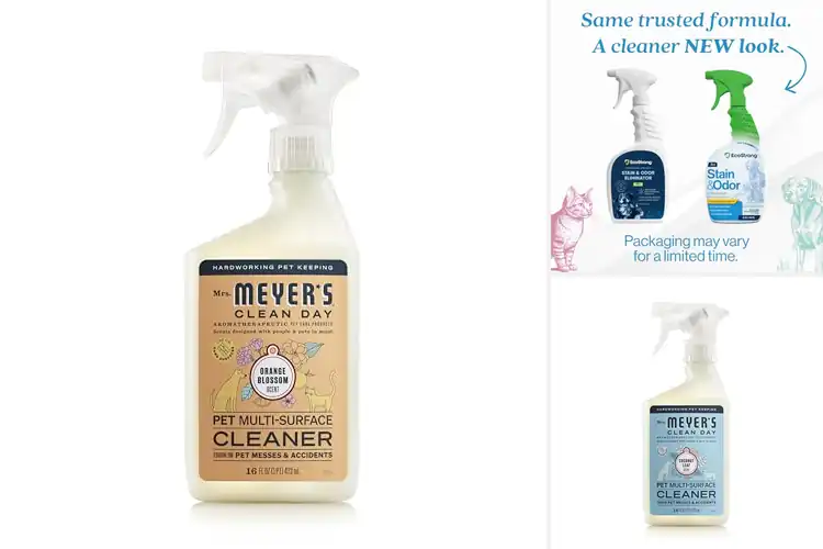 Detailed view of Best Eco Friendly Pet Cleaner