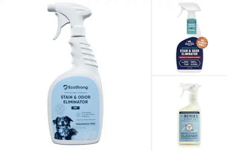Detailed view of Best Eco Friendly Pet Cleaners
