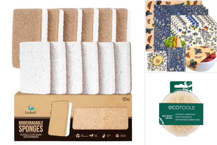 Detailed view of Best Eco-Friendly Products