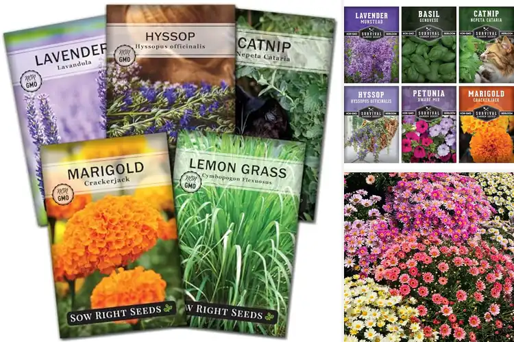 Detailed view of Best Flower Garden Pest Repellents