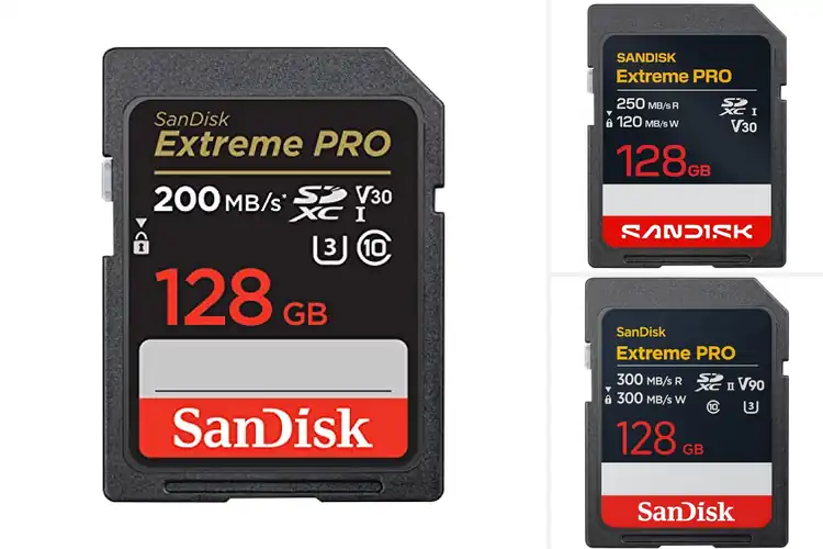 Detailed view of Best High-Speed SD Cards