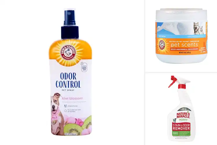 Detailed view of Best Odor Control For Pets: 10 Top Products for a Fresh Home
