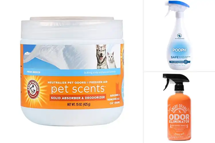Detailed view of Best Odor Eliminators For Pets