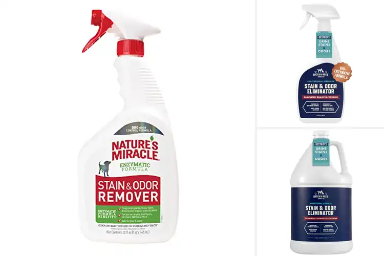 Detailed view of Best Odor Removers For Pets: Freshen Your Home Effortlessly