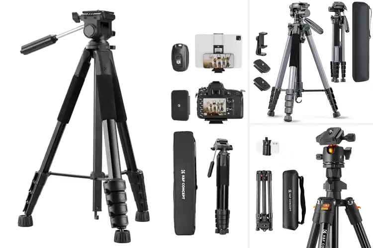 Detailed view of Best Outdoor Tripods