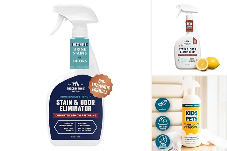 Detailed view of Best Pet Bedding Cleaners
