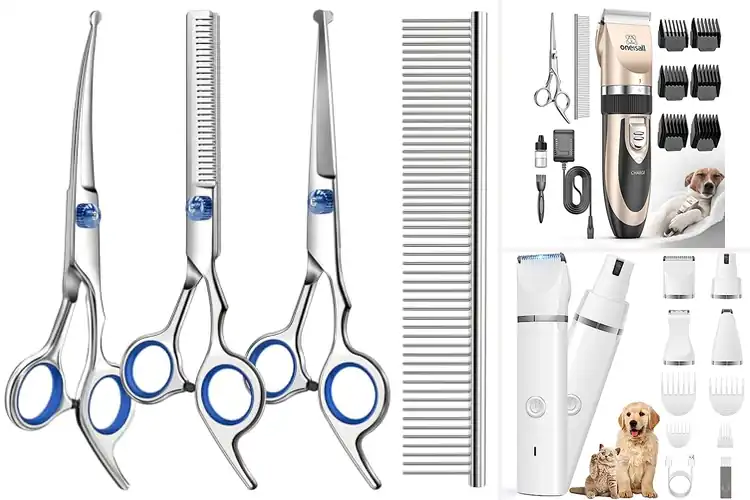 Detailed view of Best Pet Grooming Tools