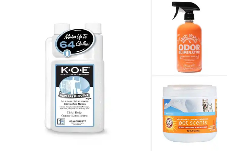 Detailed view of Best Pet Odor Elimination: Fresh Home Solutions