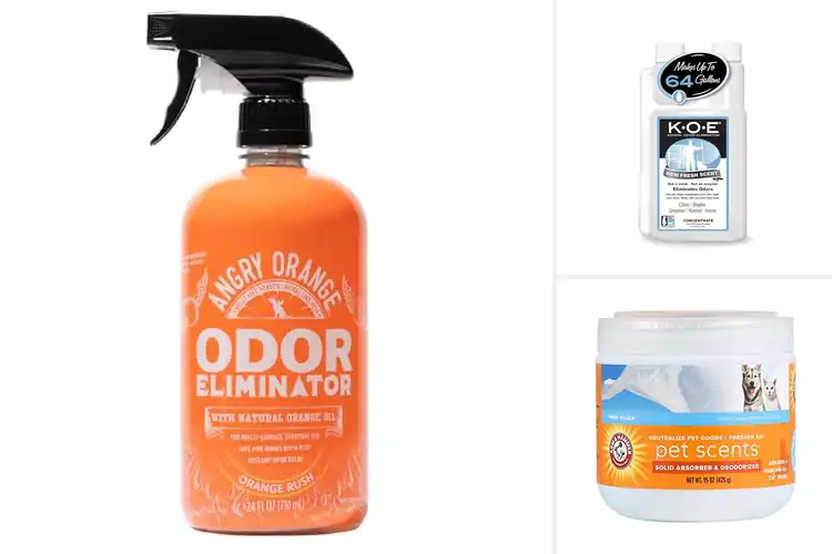 Detailed view of Best Pet Odor Eliminators for a Fresher Home