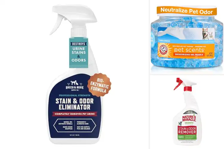 Detailed view of Best Pet Odor Removers: Top 10 Picks for a Fresh Home