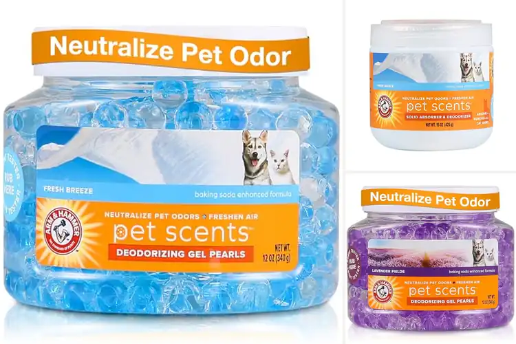 Detailed view of Best Pet Odors Eliminators: Top 10 Fresh Home Solutions