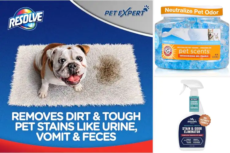 Detailed view of Best Pet Odors Removers: Top 10 Products for a Fresh Home