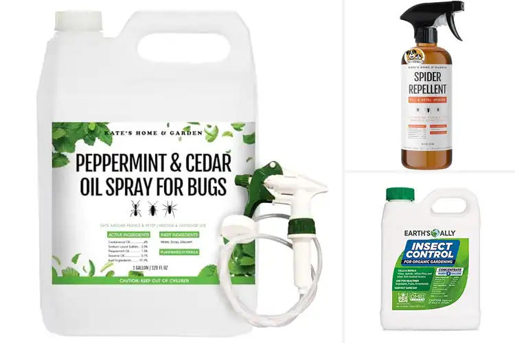 Detailed view of Best Pet Safe Insecticides