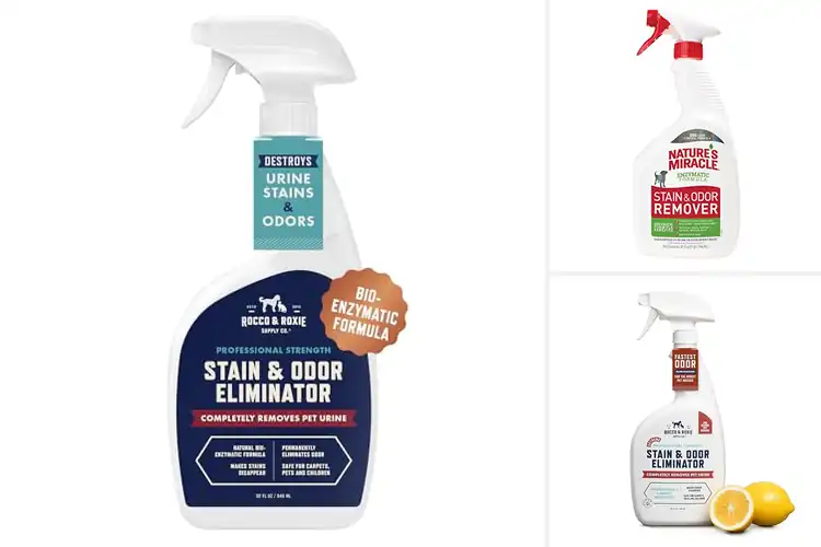 Detailed view of Best Pet Stain And Odor Removers: Keep Your Home Fresh Fast