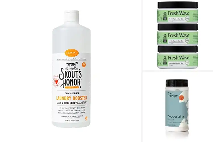 Detailed view of Best Plant-Powered Odor Removers: Top 10 Fresh Picks