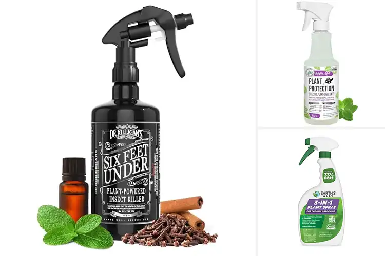 Detailed view of Best Plant Powered Pest Sprays: Top Natural Bug Solutions