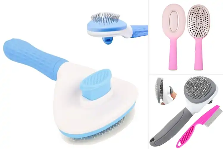 Detailed view of Best Release Button Brush: 10 Effortless Grooming Solutions