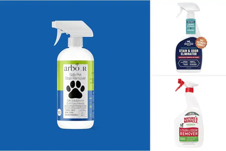 Detailed view of Best Safe For Pets Stain Removers: Top 10 Pet-Friendly Picks