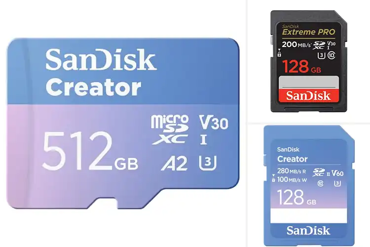 Detailed view of Best SD Cards for Creators: Top 10 Reliable & Fast Picks
