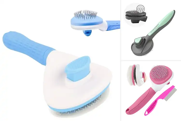 Detailed view of Best Self Cleaning Cat Brush With Release Button