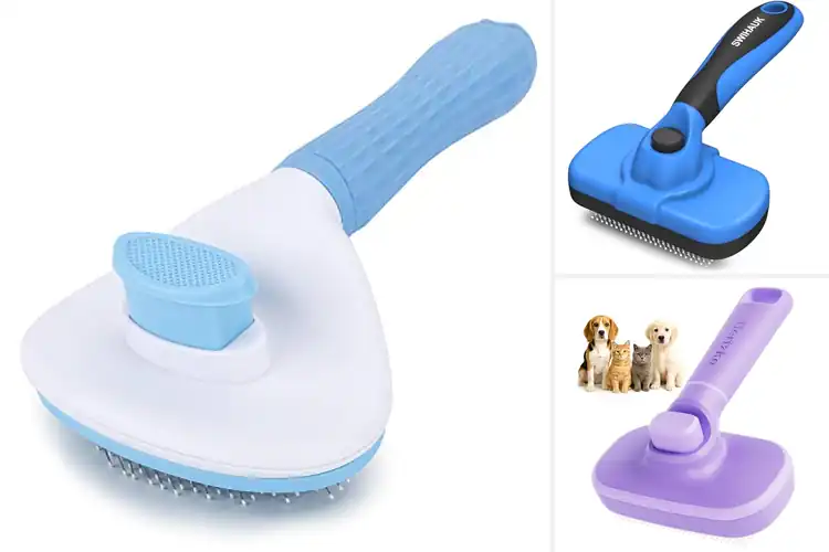 Detailed view of Best Self Cleaning Cat Hair Brush