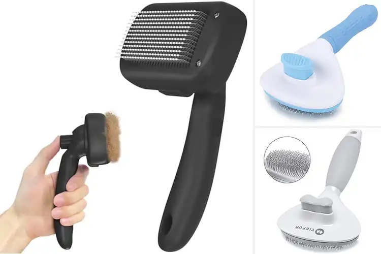 Detailed view of Best Self Cleaning Cat Hair Brushes