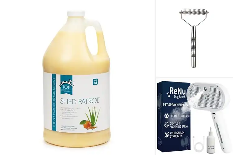 Detailed view of Best Shedding Solutions: 10 Pet-Friendly Grooming Essentials