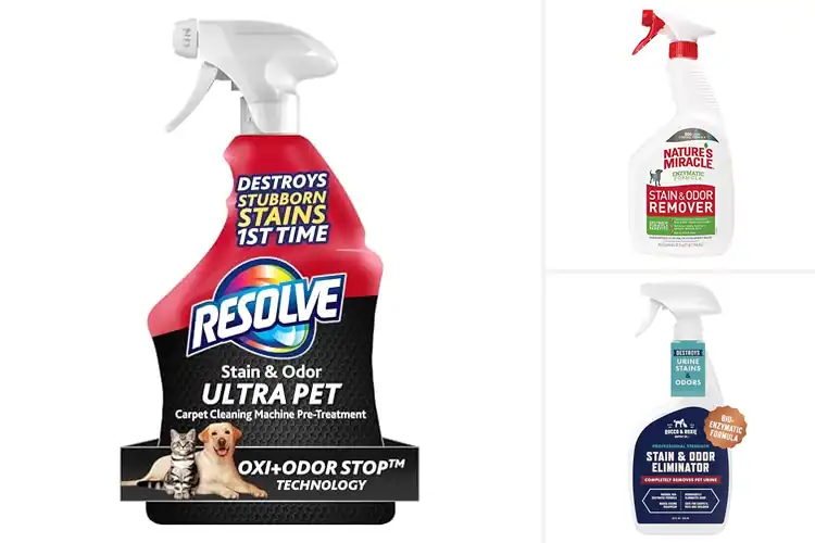Detailed view of Best Stain Removers For Pet Stains