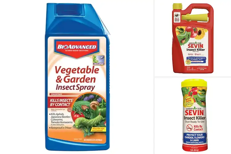 Detailed view of Best Vegetable Garden Insect Killers