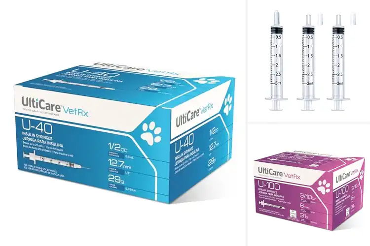 Detailed view of Best Veterinary Syringes for Safe, Confident Animal Care